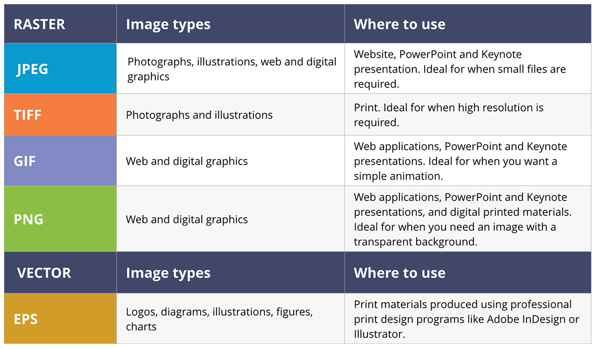 What S The Difference Between A Jpeg And Png Gif Tiff And Eps Neglia Design